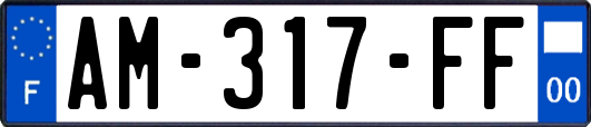 AM-317-FF