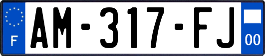 AM-317-FJ