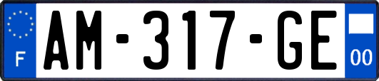 AM-317-GE