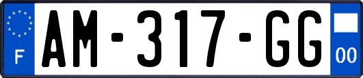 AM-317-GG