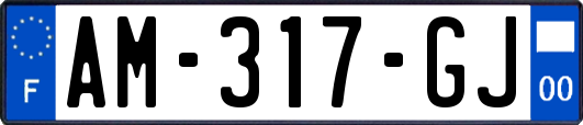 AM-317-GJ