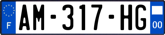 AM-317-HG