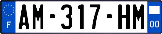 AM-317-HM