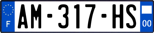 AM-317-HS