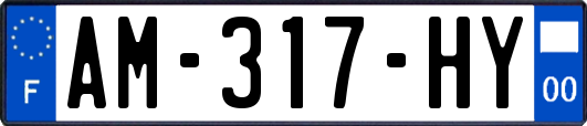 AM-317-HY