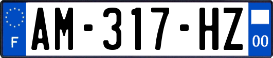 AM-317-HZ