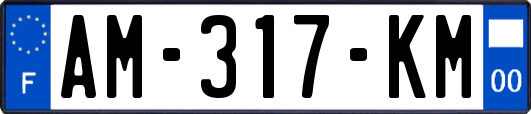 AM-317-KM