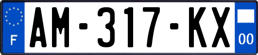 AM-317-KX