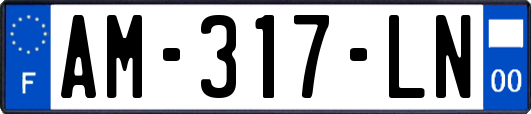 AM-317-LN
