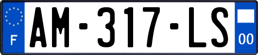 AM-317-LS
