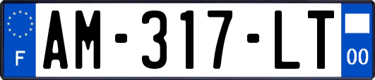 AM-317-LT