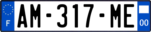 AM-317-ME