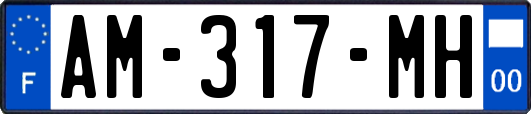 AM-317-MH