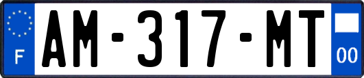 AM-317-MT