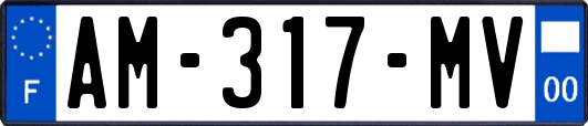 AM-317-MV