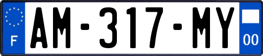 AM-317-MY