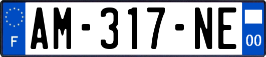 AM-317-NE