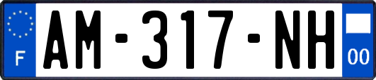 AM-317-NH
