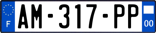 AM-317-PP