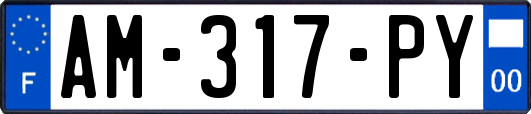 AM-317-PY
