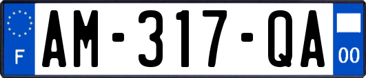 AM-317-QA
