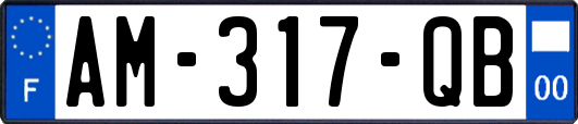 AM-317-QB