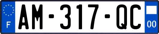 AM-317-QC