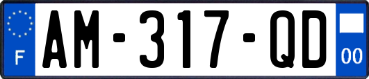 AM-317-QD