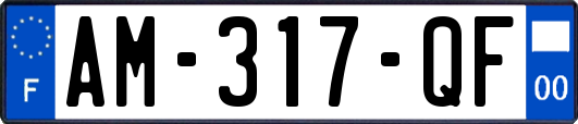 AM-317-QF
