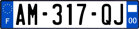 AM-317-QJ