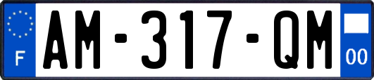 AM-317-QM