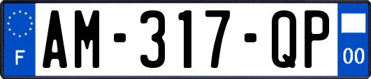 AM-317-QP