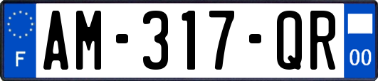 AM-317-QR