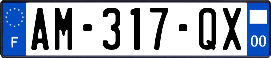 AM-317-QX