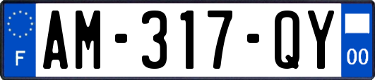 AM-317-QY
