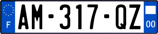 AM-317-QZ