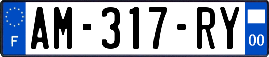 AM-317-RY