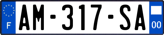 AM-317-SA