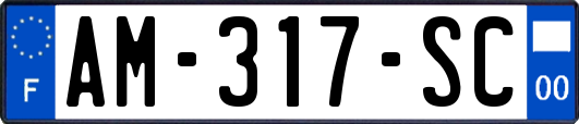 AM-317-SC