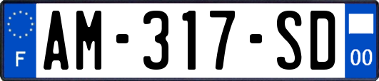 AM-317-SD