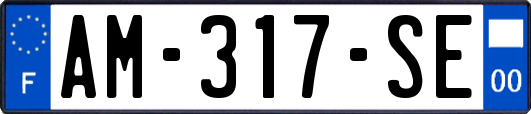 AM-317-SE