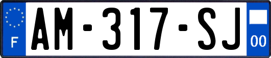 AM-317-SJ