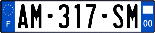 AM-317-SM