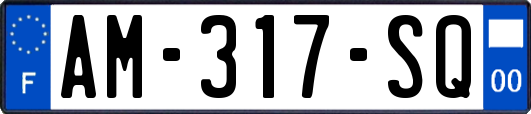 AM-317-SQ