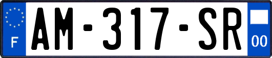 AM-317-SR