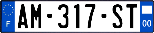 AM-317-ST