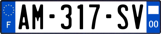 AM-317-SV