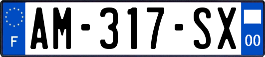 AM-317-SX