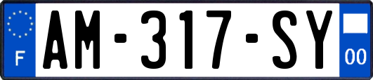 AM-317-SY