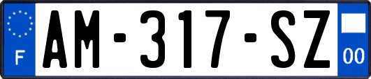 AM-317-SZ
